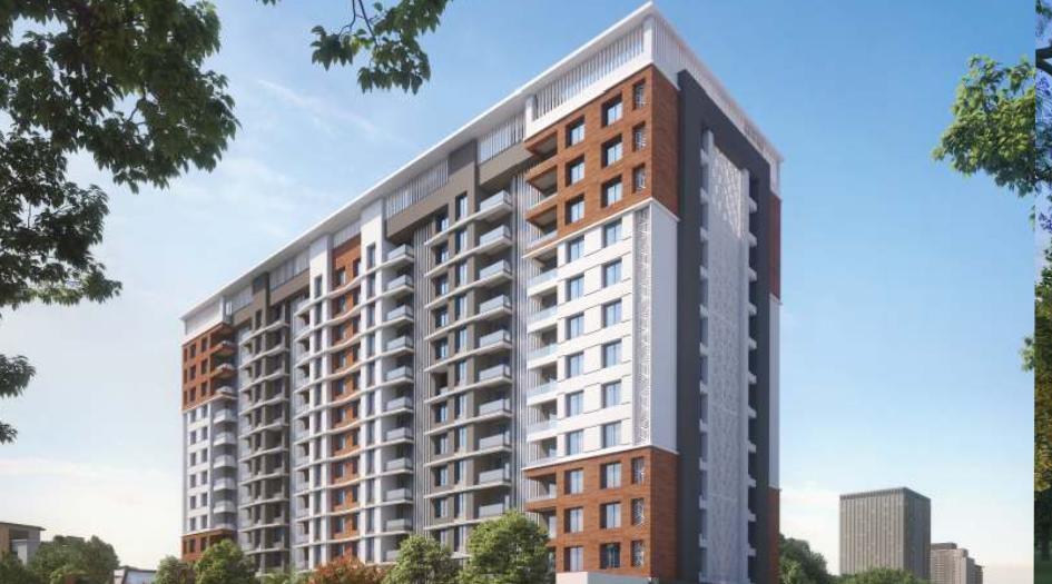 Skyrise-Sparkle-Elevation